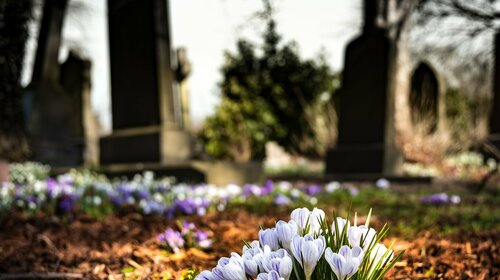 Cimetière et columbarium