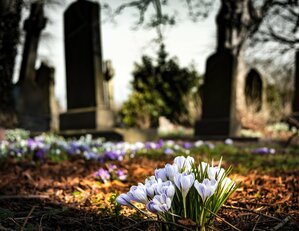 Cimetière et columbarium